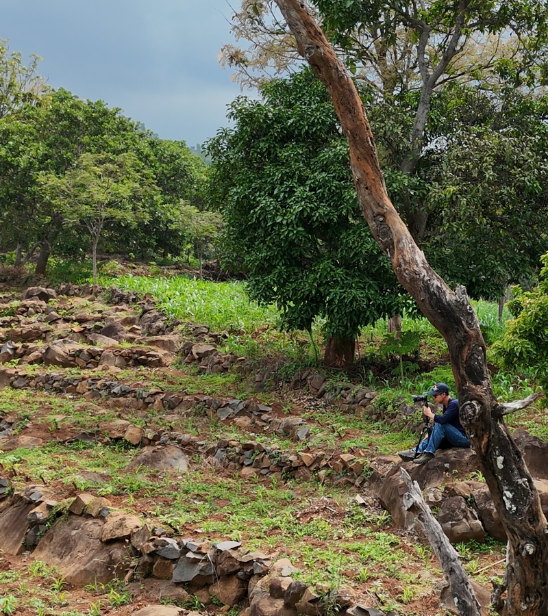 Nature Experience at Nggon Bukit Songgong - Mountain Vista, Hiking Trails, and Eco-Tourism in Nganjuk East Java
