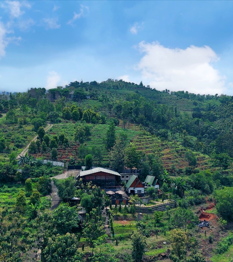 Refresh Cafe at Nggon.id - Natural Dining Experience and Relaxing Atmosphere in Nganjuk