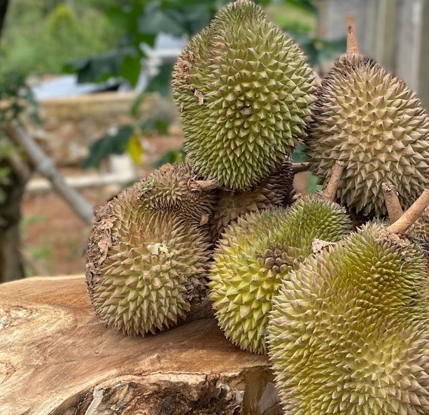 Durian