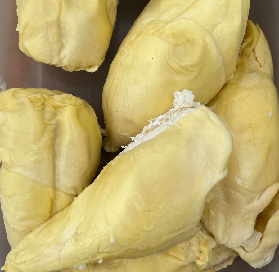 Durian Daging Tebal